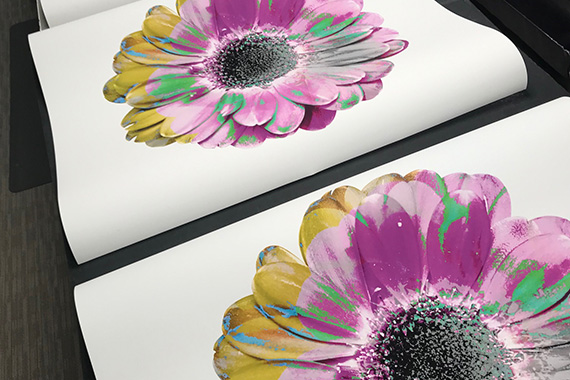 Artist, Lisa Spindler, Purple Flower Prints